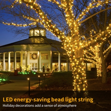 LED圣诞灯 - HCP152-153 墨绿线灯珠灯串